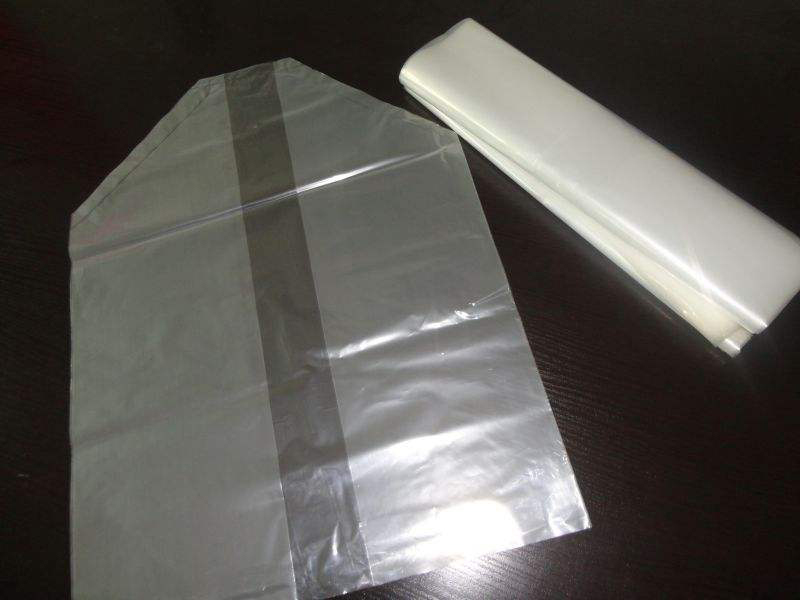 ʳƷ���ڳĴ�